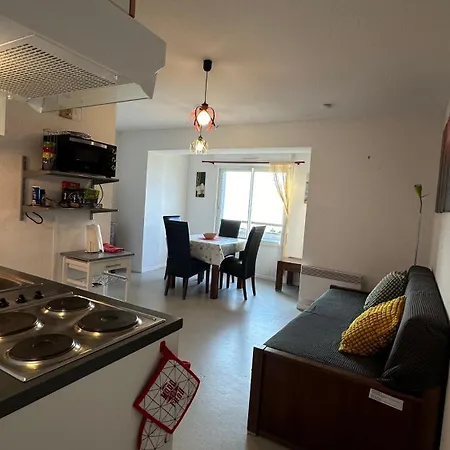 Du Pic D'anie Apartment Arette